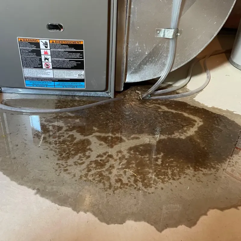 Appliance Leak Cleanup in Skagit County, WA